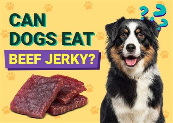 Can a diabetic eat beef jerky?