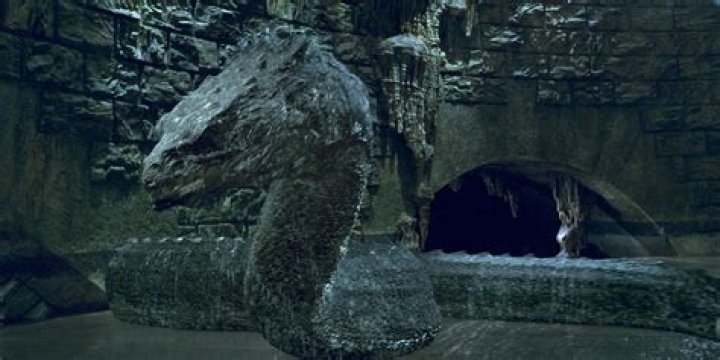 Can Voldemort look at the basilisk?