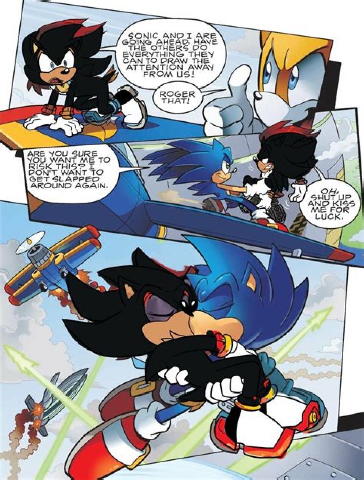 Does Shadow care about Sonic?
