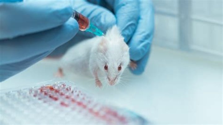 How do adults get tested for PANDAS?
