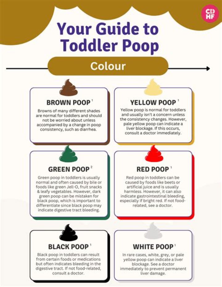 How do I get my 6 year old to poop on the toilet?