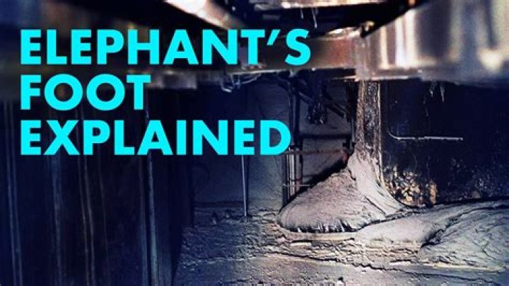 How long will the elephants foot be radioactive?