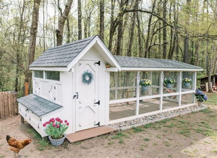 Should I put a fan in my chicken coop?