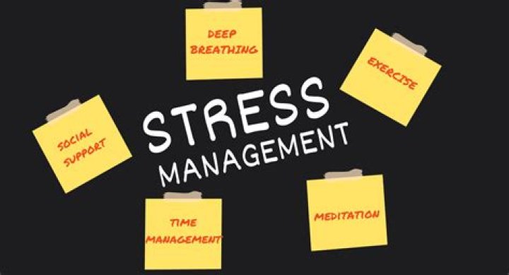 What are the 5 stress management?