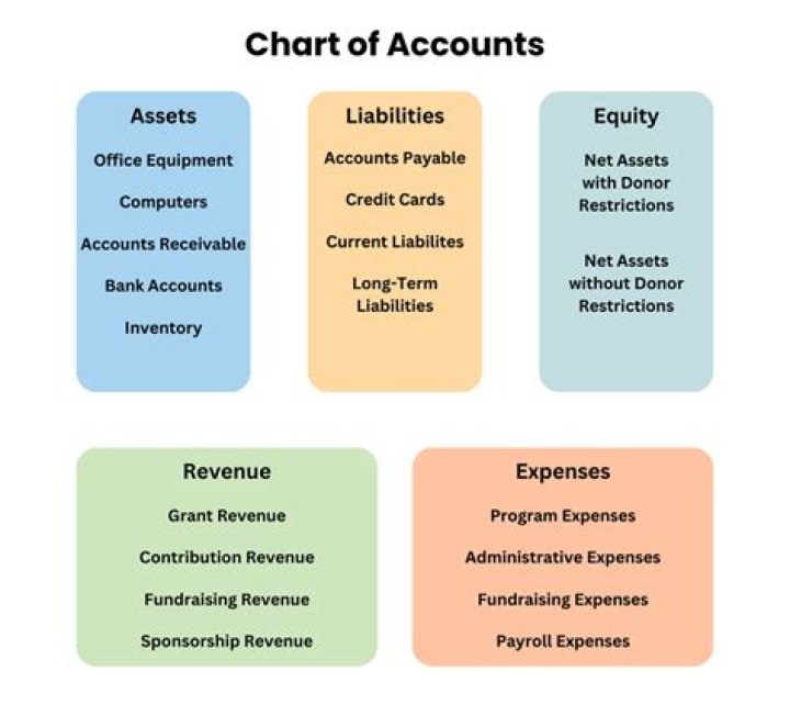 What can restricted accounts do?