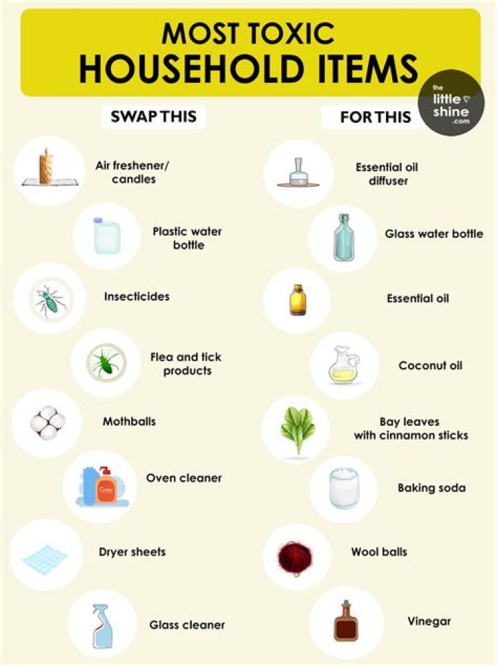 What household products kill scabies?