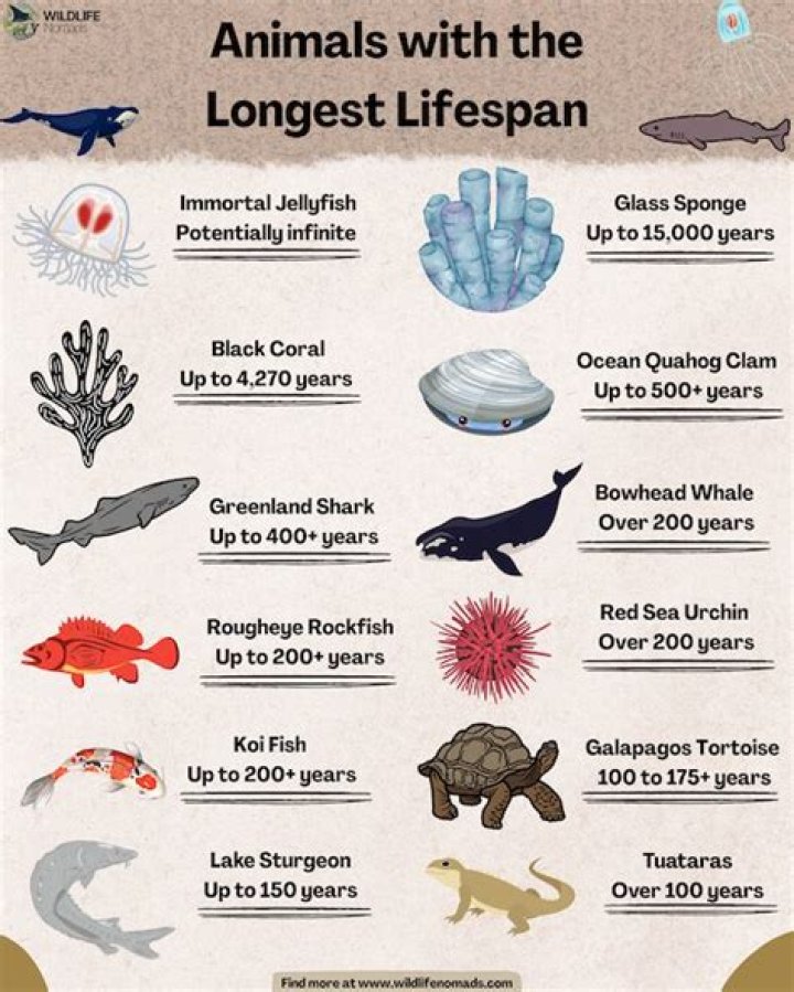 What species has survived the longest?