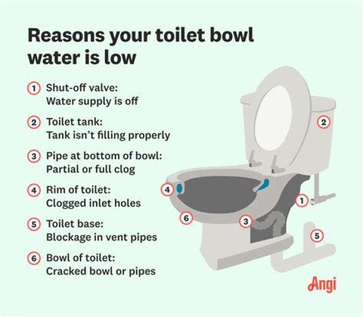 Why does my toilet always get a black ring?
