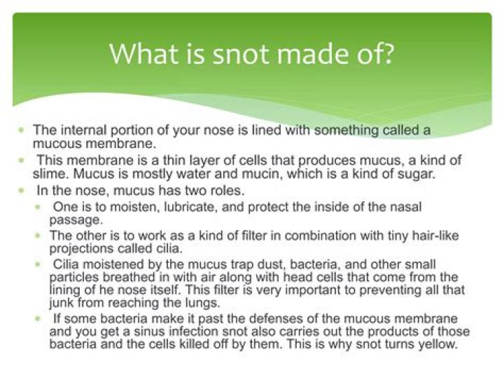 Why is it called snot?